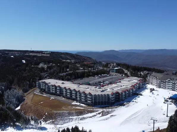 338 Mountain Lodge, Snowshoe, WV 26209