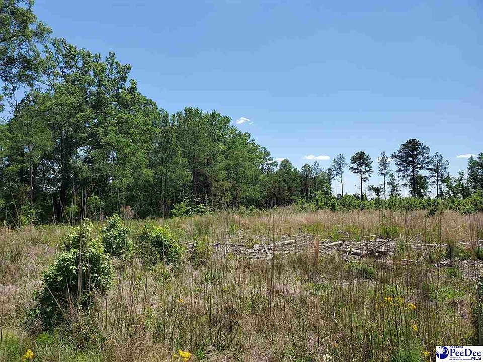 1st image of Dundee Dr