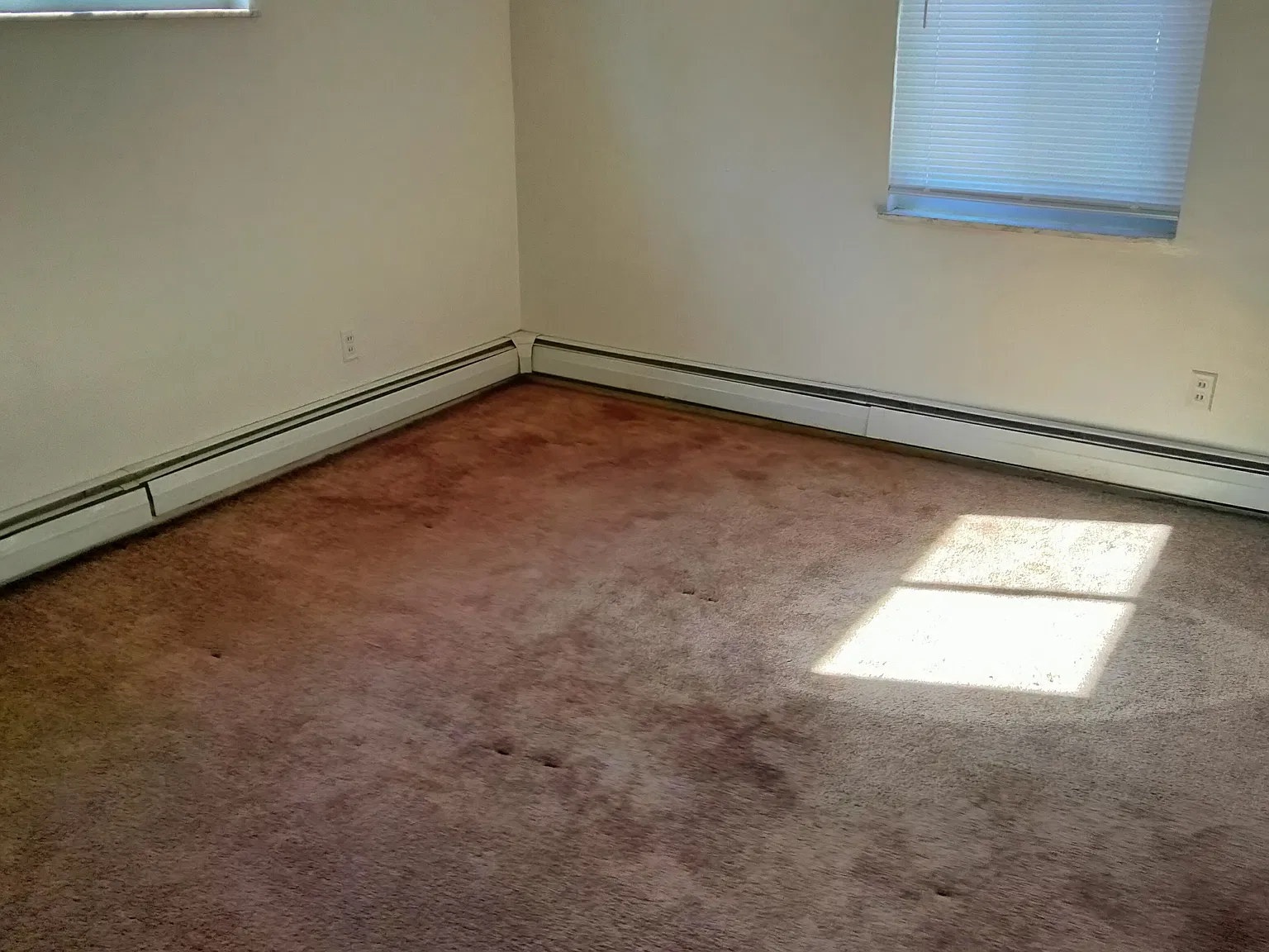 1 bed, 775 sqft, $895 — Photo 4