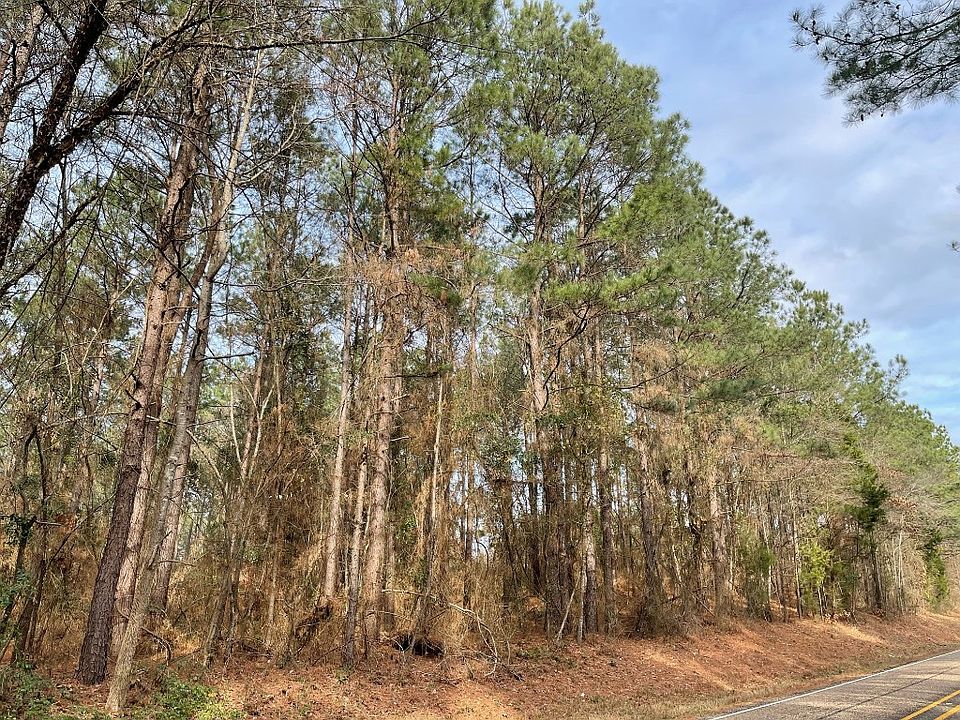 1st image of N Fm 250