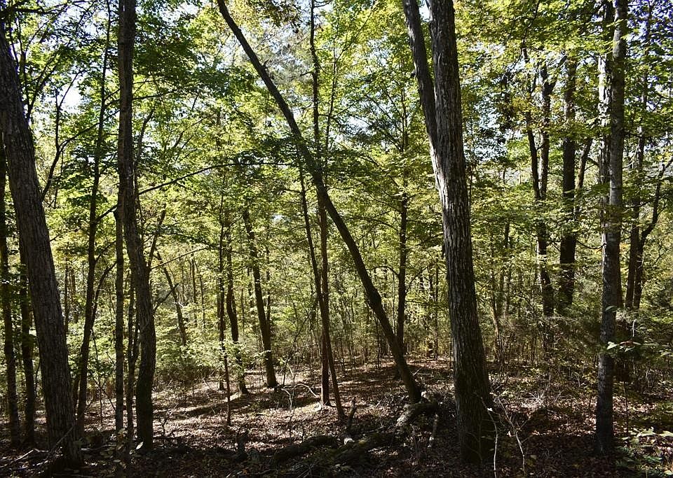 2nd image of 0 Bear Wallow Gap Ln