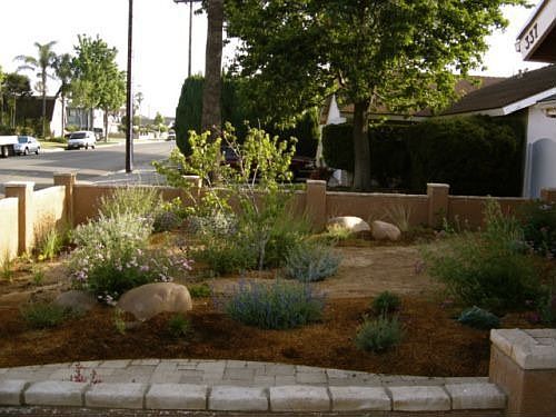 Front Garden Side View