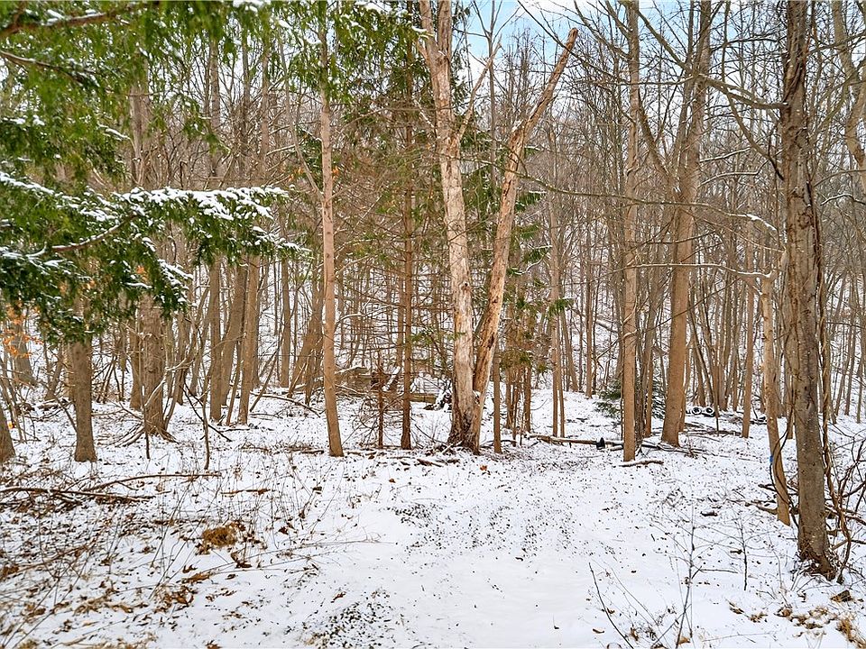 1st image of 217 Klein Rd