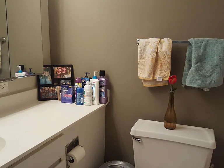 440 N Wabash Ave #2203 — Photo 3
