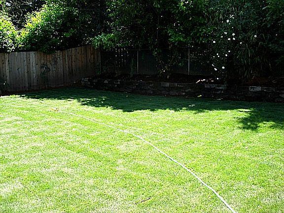 Huge Landscaped Rear Yard