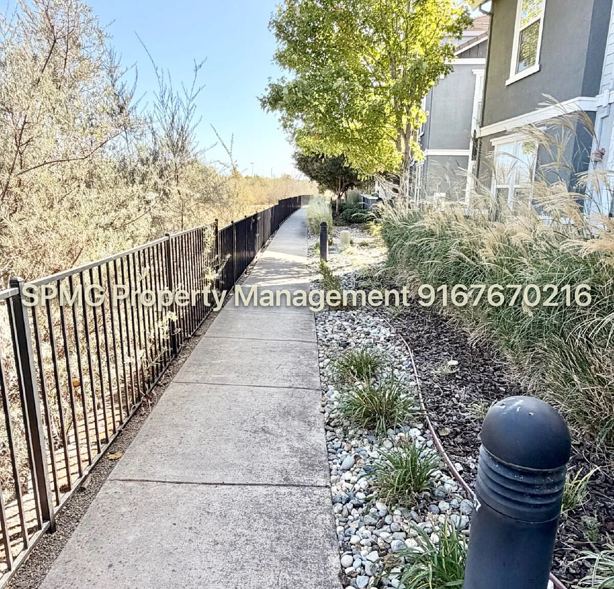 3 bed, 2.0 bath, 1771 sqft, $2,695 — Photo 3