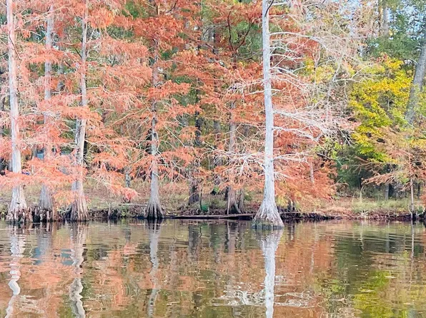 0 Trenon Ln, Farmerville, LA 71241