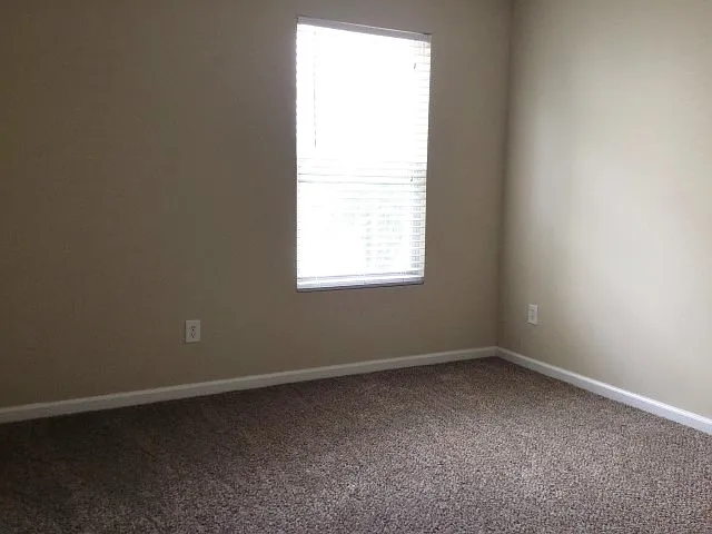 2912 Hayling Dr — Photo 12