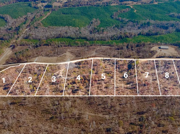 County Road 4251 Lot 1, New Site, MS 38859
