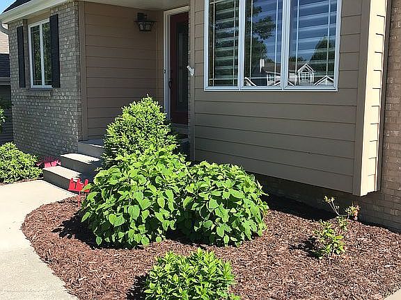 4th image of 3063 Williamsburg Dr