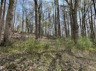 Ruswil Drive Lots #1107-1108, Millersburg, OH 44654