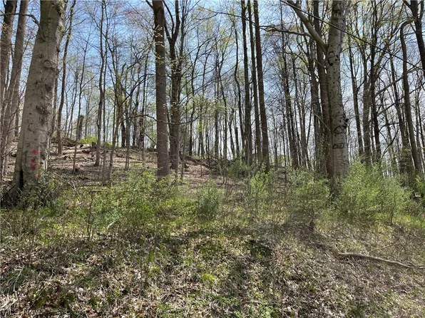 Ruswil Drive Lots #1107-1108, Millersburg, OH 44654