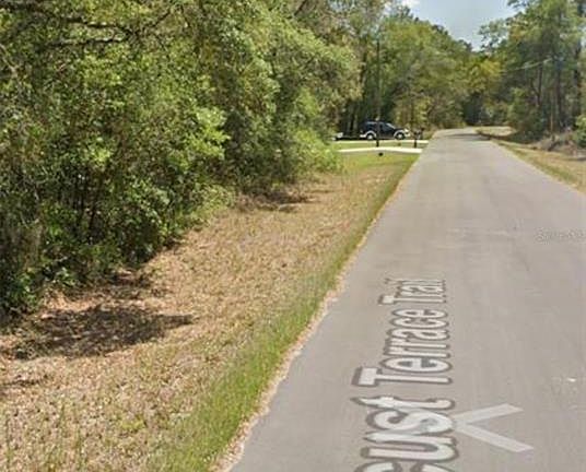 3rd image of Locust Loop Ter #6