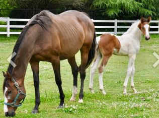 15445 Deer Pass Rd #NEW, Punta Gorda, FL 33955