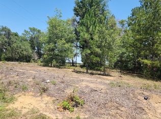 LOT 1 SW Pine Bluffs Rd LOT 1, Dunnellon, FL 34431