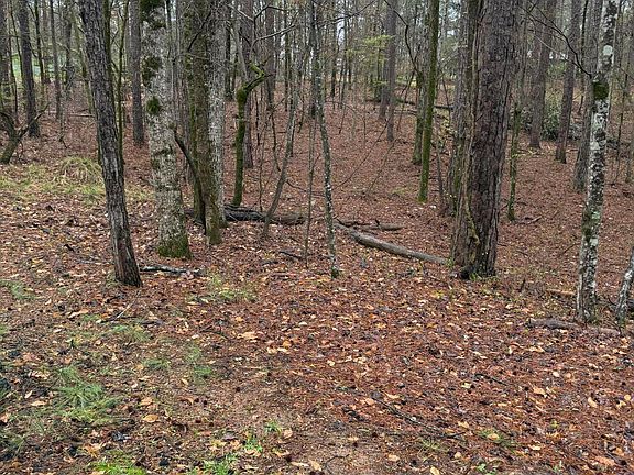 2nd image of 90 Tall Pine Pl
