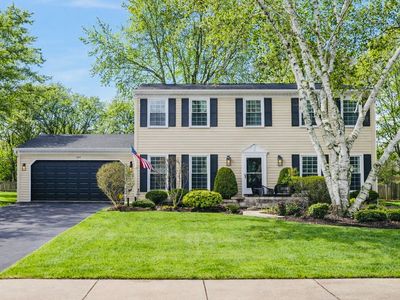 309 Carriage Hill Rd, Naperville, IL, 60565