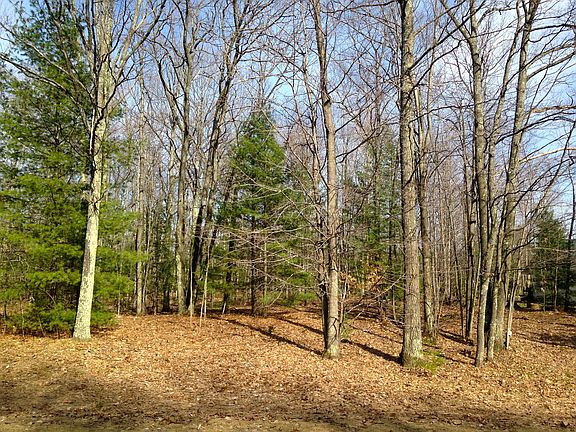 4th image of 890 Minkin Dr