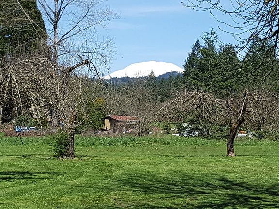View of Mt. St. Helens