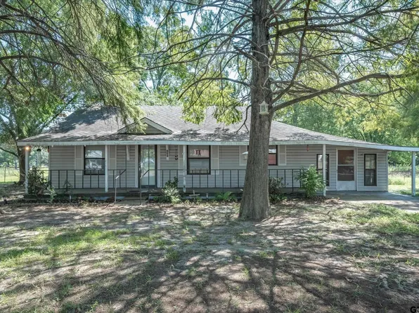 131 Vz County Road 4412, Ben Wheeler, TX 75754