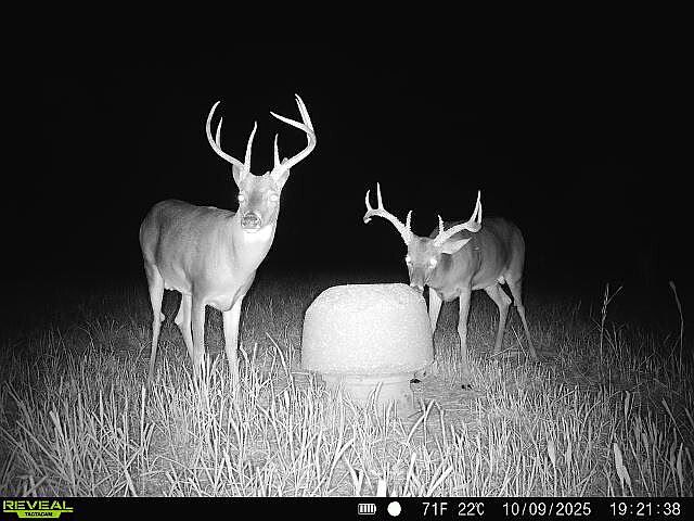 1st image of 0 Nichols Ln