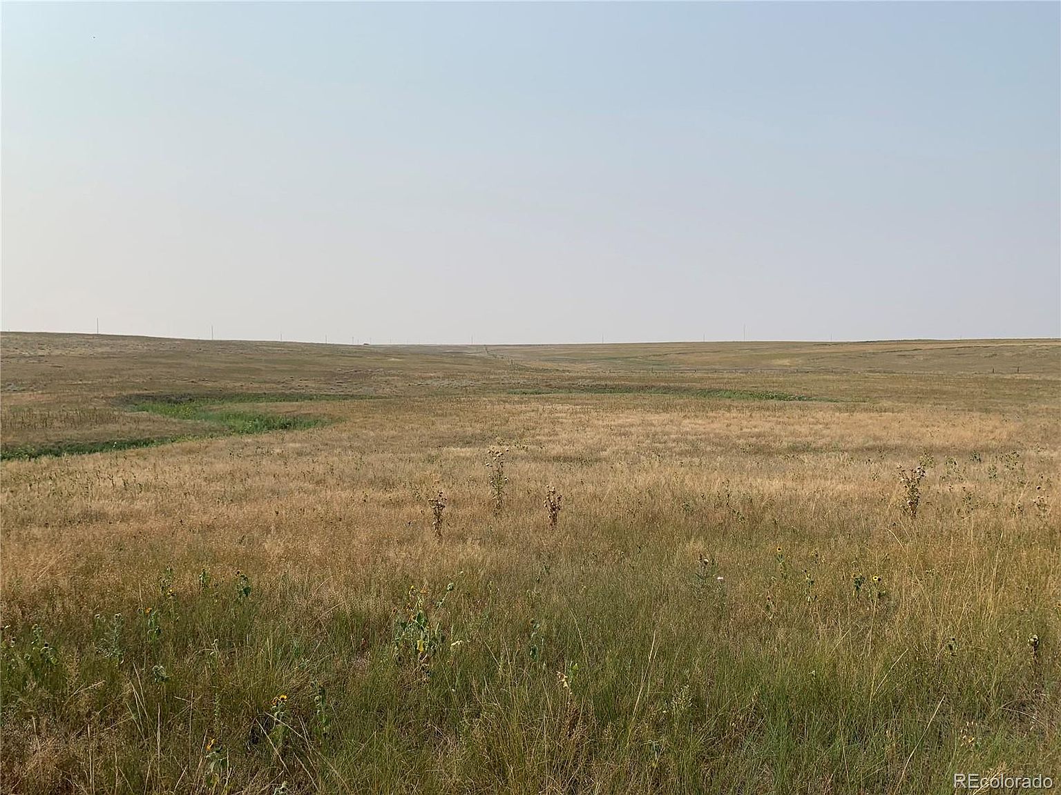 39115 County Road 166 Lot 4, Agate, CO 80101 Zillow