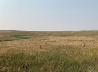 39115 County Road 166 #4, Agate, CO 80101