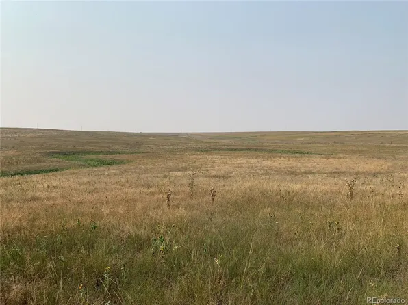39115 County Road 166 LOT 4, Agate, CO 80101