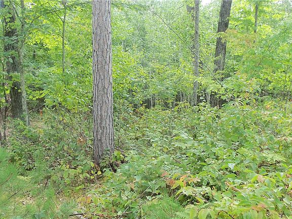 3rd image of LOT 8 County Highway H