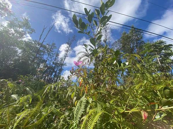 Mauna Kea Rd Lot 477, Pahoa, HI 96778