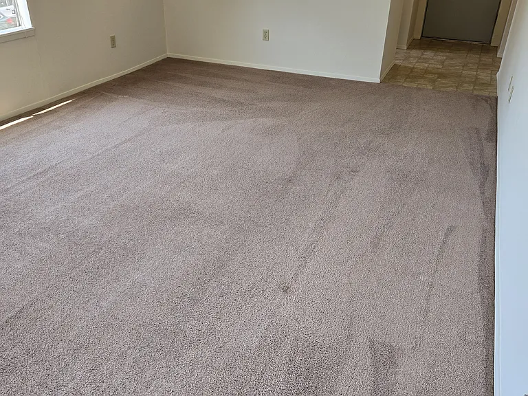 5240 15th Ave NE #306 — Photo 5