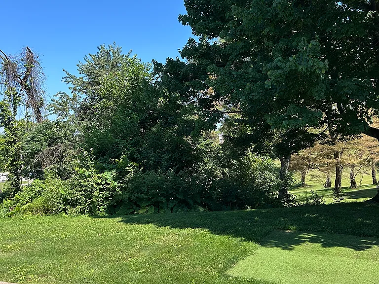 100-04C Midland Hts — Photo 10