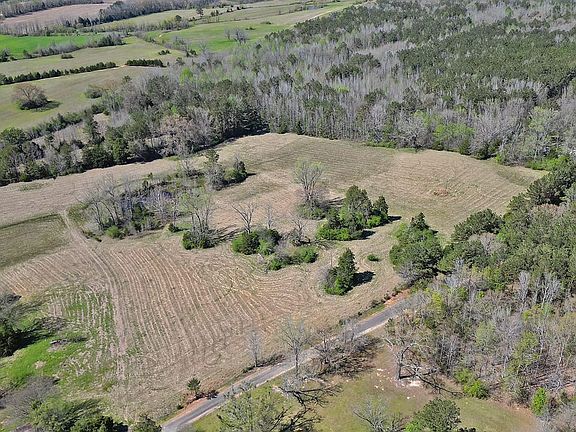 Dji Fly 20260322 232116 709 1774359351915 Photo