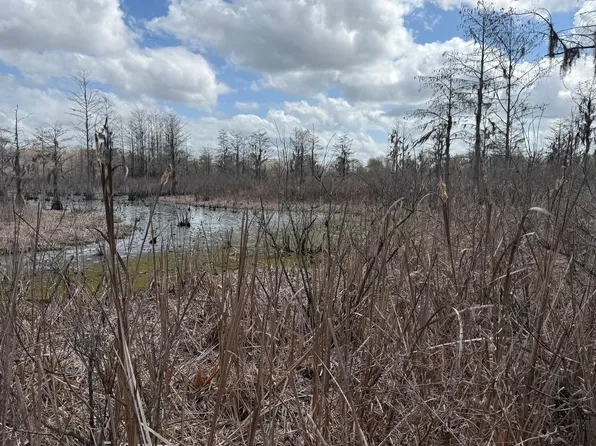 0 Neel Rd, Grand Ridge, FL 32442