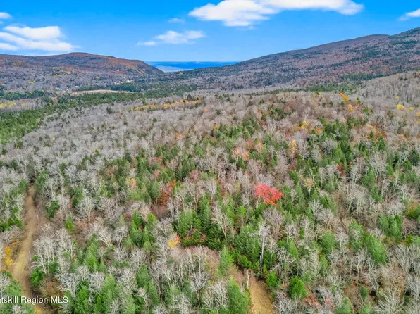 8 Corfu Road, Elka Park, NY 12427