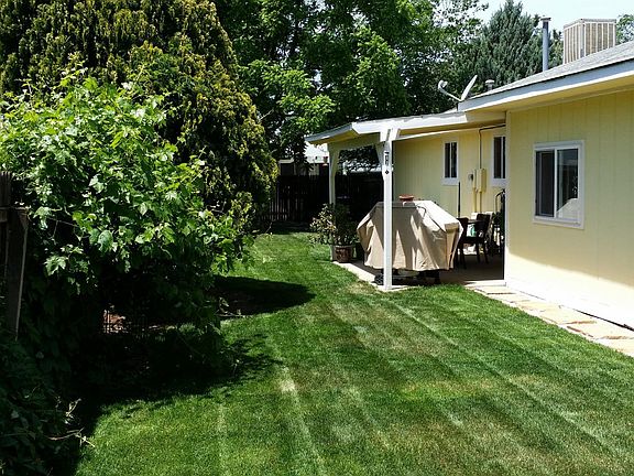 House (back yard)