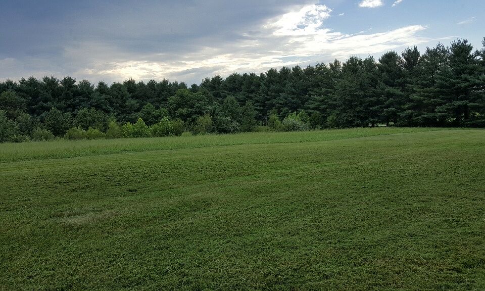 2nd image of 10520 Buckeye Trce