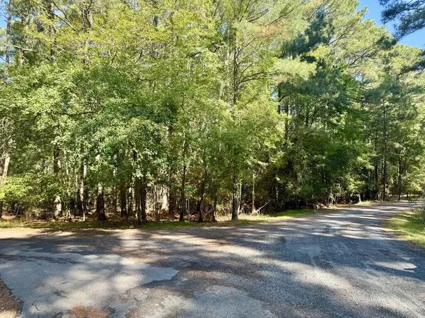 LOT 551 Skipper Ct, Greenbackville, VA 23356
