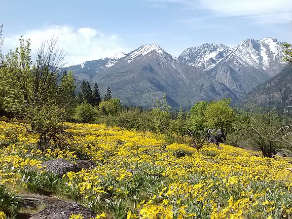 2nd image of * Nna Mountain Home Road
