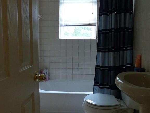 5th image of 317 Sycamore St #317