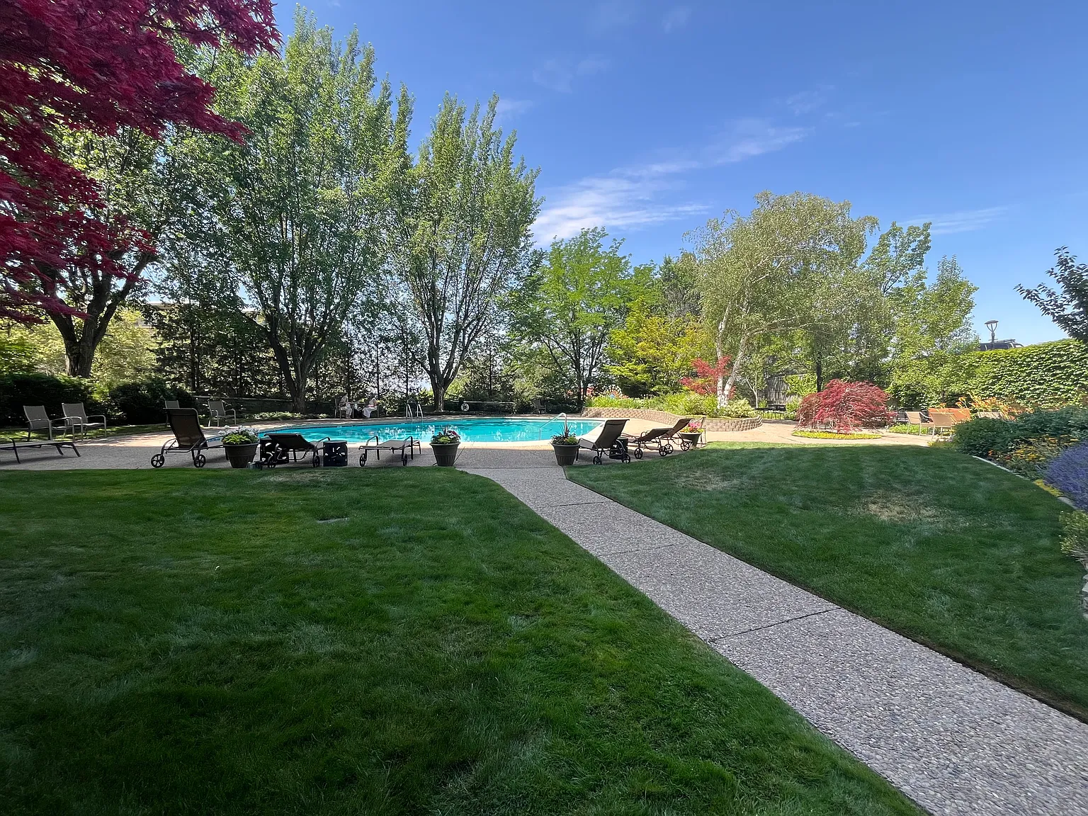 1 bed, 800 sqft, $1,500 — Photo 2