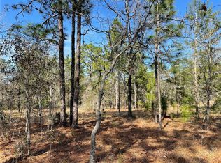 Masked Duck Rd, Weeki wachee, FL 34614