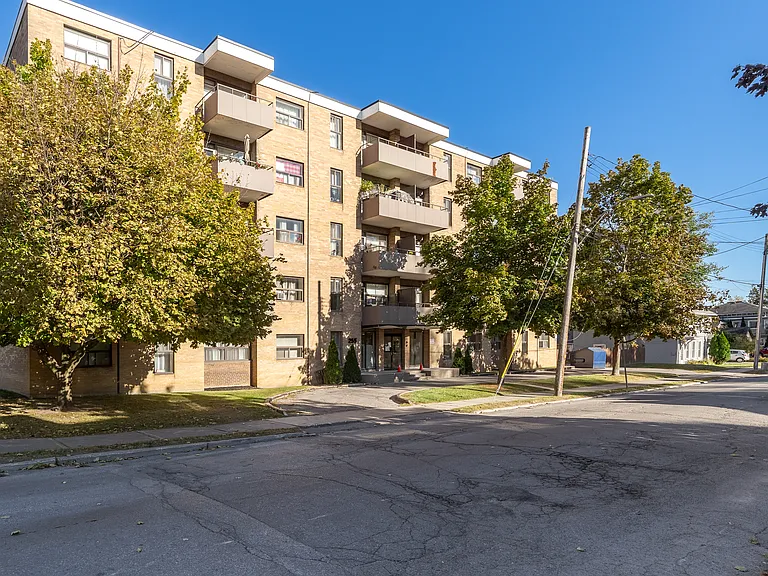 255 George St — Photo 4