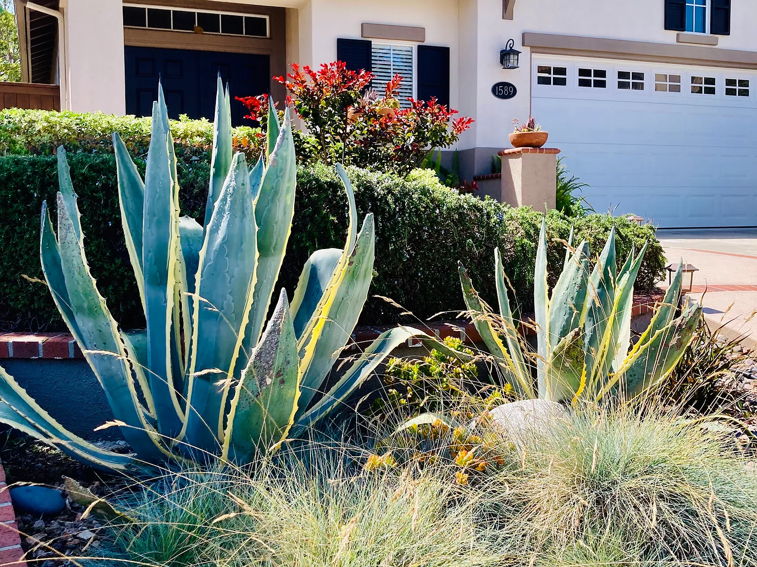 1589 Turquoise Dr — Photo 3