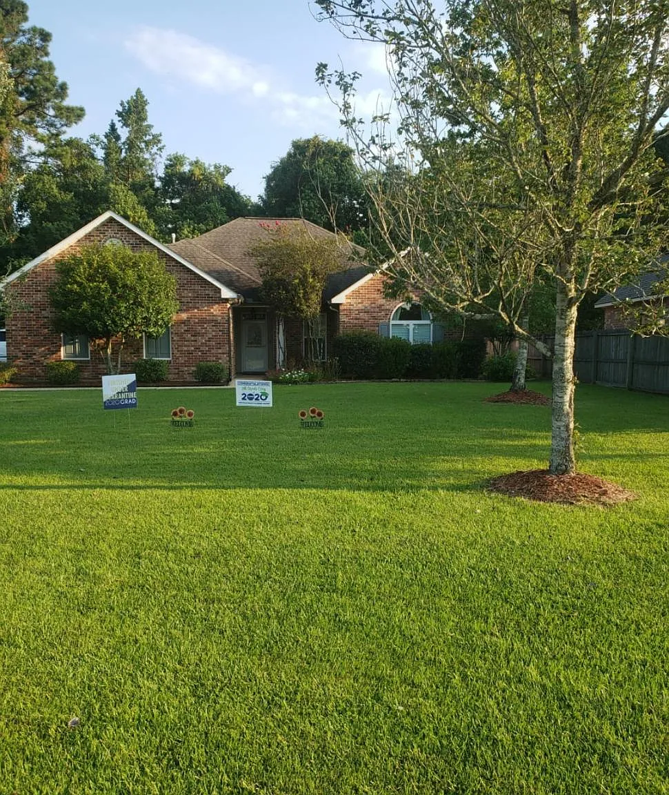 30295 White Egret St — Photo 1