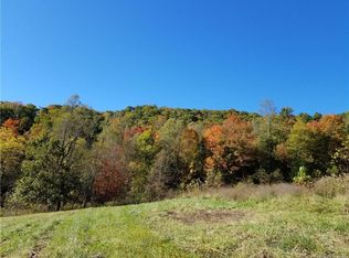 Tracts 4a & 5a Rabbit Skin Road Tract, Waynesville, NC 28785