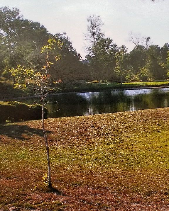 1st image of 1208 Forest Island Pl