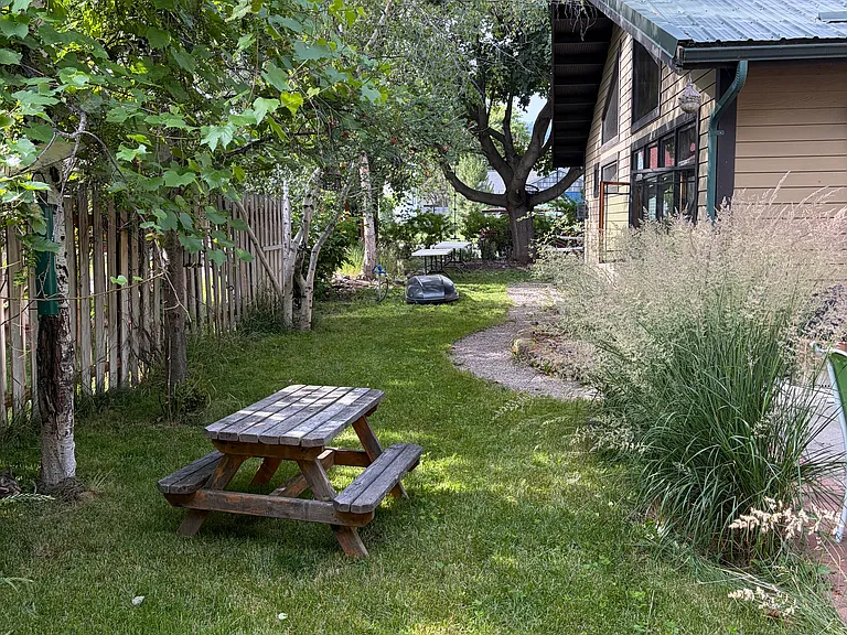 Back/side yard