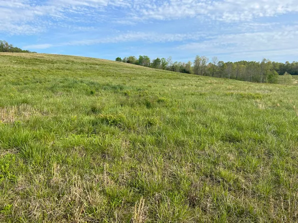 000 Pr Off Hwy 63, Mammoth Spring, AR 72554