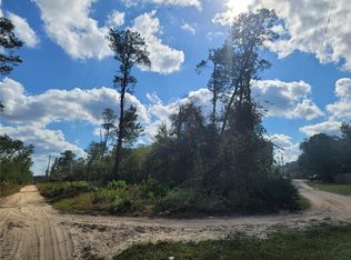 Rabbit Rd LOT 1, Altoona, FL 32702
